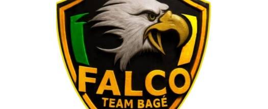 FALCO ARTES MARCIAIS TKD